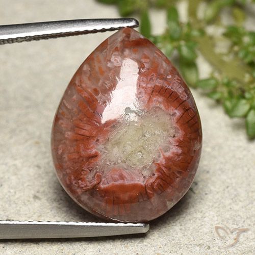 11.90ct Natural Multicolor Coral, En forma de pera, Opaco