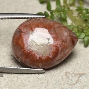 Coral Multicolor natural de 11.90 ct, En forma de pera, Opaco