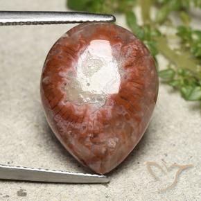 Coral Multicolor natural de 11.90 ct, En forma de pera, Opaco