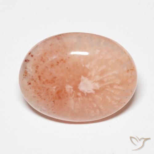 Coral multicolor natural de 9,34 ct, corte óvalo, translúcido