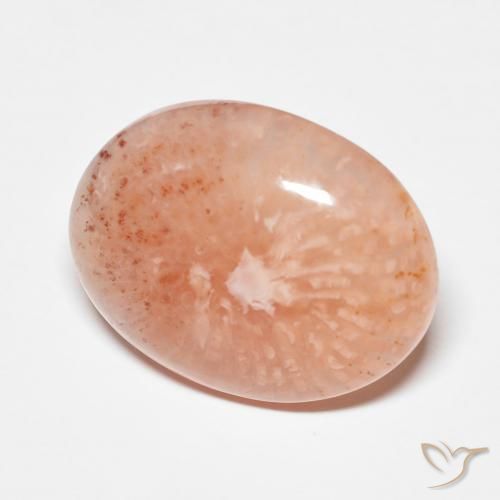 Coral multicolor natural de 9,34 ct, corte óvalo, translúcido