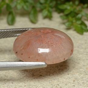 Coral Multicolor natural de 10.65 ct, Corte Óvalo, Translúcido