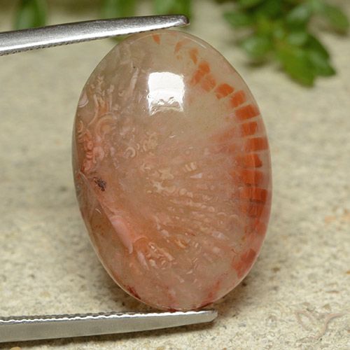 11.62ct Natural Multicolor Coral, Ovalada, Translúcido