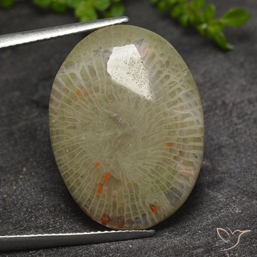 17.31ct Natural Multicolor Coral, Ovalada, Translúcido