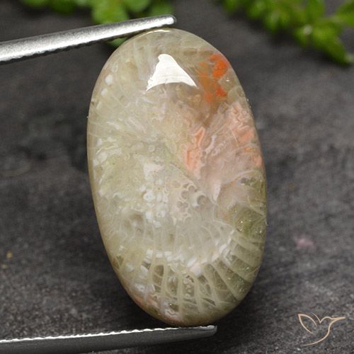 11.82ct Natural Multicolor Coral, Ovalada, Translúcido
