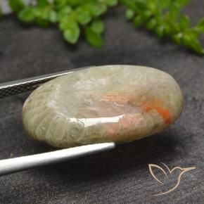 Coral Multicolor natural de 11.82 ct, Ovalada, Translúcido