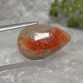 Coral multicolor natural de 4,02 ct, en forma de pera, translúcido