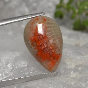 Coral multicolor natural de 4,02 ct, en forma de pera, translúcido