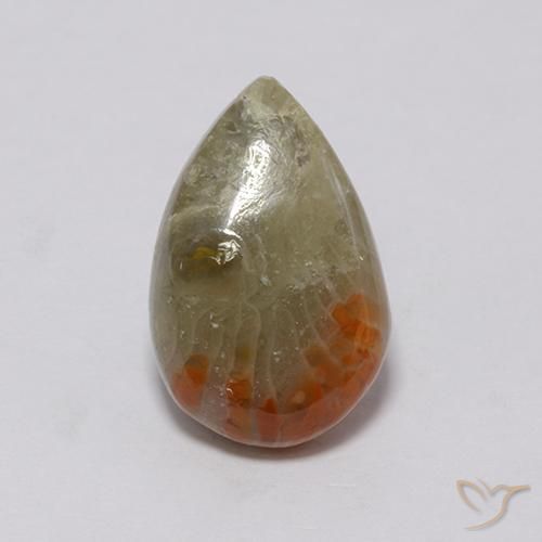 3.72ct Natural Multicolor Coral, En forma de pera, Opaco