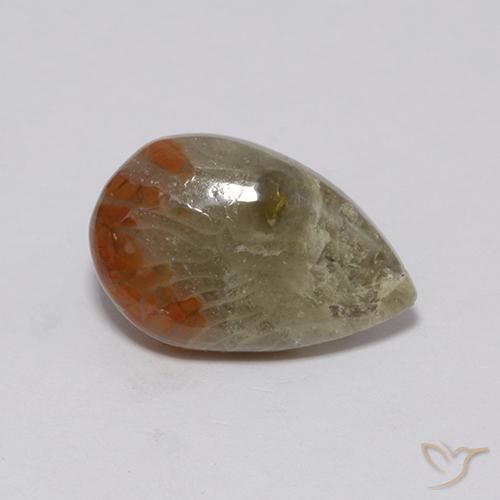Coral Multicolor natural de 3.72 ct, En forma de pera, Opaco