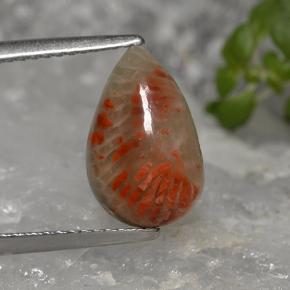 Coral multicolor natural de 2,84 ct, en forma de pera, opaco
