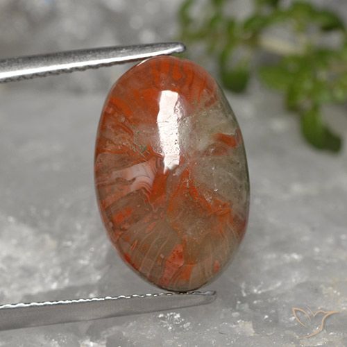 5.96ct Natural Multicolor Coral, Ovalada, Opaco, Photo A