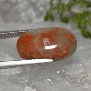 Coral Multicolor natural de 5.96 ct, Ovalada, Opaco