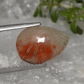Coral multicolor natural de 3,19 ct, en forma de pera, translúcido