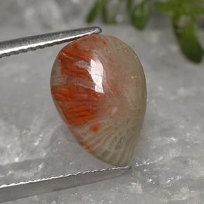 Coral multicolor natural de 3,19 ct, en forma de pera, translúcido