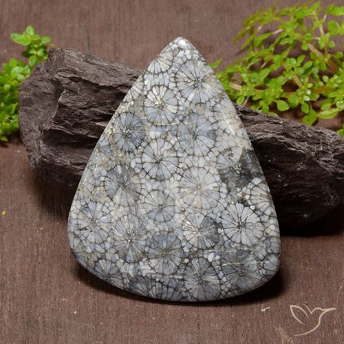 Coral multicolor natural de 72,53 ct, en forma de pera, opaco