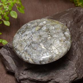 Coral Multicolor natural de 42.64 ct, Corte Redondo, Opaco