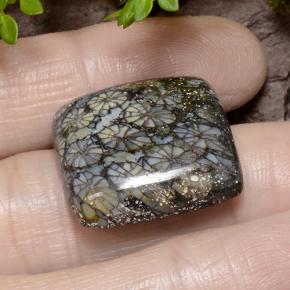 Coral Multicolor natural de 23.19 ct, Corte Cojín, Opaco