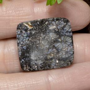 Coral Multicolor natural de 23.19 ct, Corte Cojín, Opaco