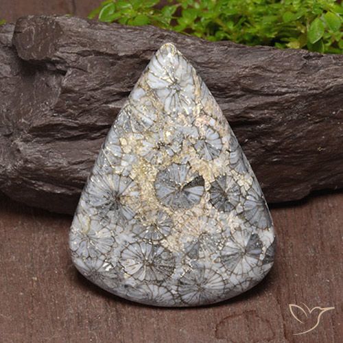 47.39ct Natural Multicolor Coral, En forma de pera, Opaco