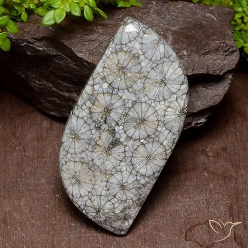 40.47ct Natural Multicolor Coral, Elegante, Opaco
