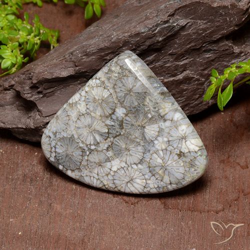 39.63ct Natural Multicolor Coral, En forma de pera, Opaco, Photo A