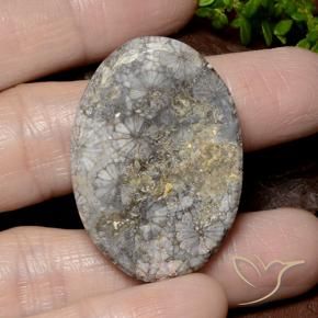Coral Multicolor natural de 49.51 ct, Ovalada, Opaco