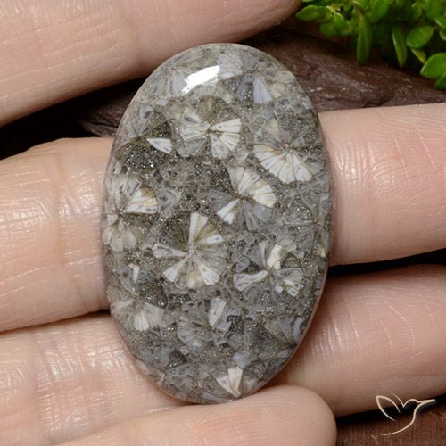 42.02ct Natural Multicolor Coral, Ovalada, Opaco