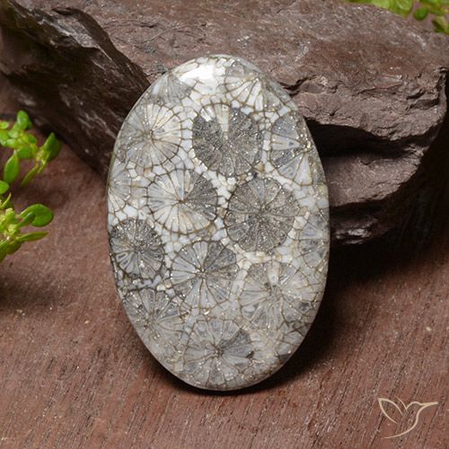 38.17ct Natural Multicolor Coral, Ovalada, Opaco