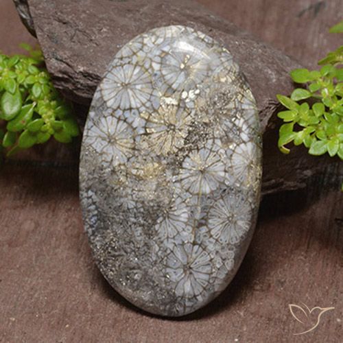 46.22ct Natural Multicolor Coral, Ovalada, Opaco