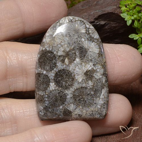 45.79ct Natural Multicolor Coral, Elegante, Opaco