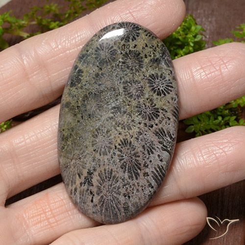 66.42ct Natural Multicolor Coral, Ovalada, Opaco