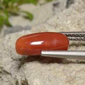 Coral Roja Anaranjada natural de 2.09 ct, Ovalada, Opaco