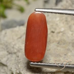 Coral Roja Anaranjada natural de 2.09 ct, Ovalada, Opaco