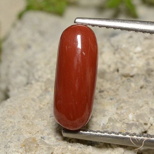 2.14ct Natural Roja Anaranjada Coral, Ovalada, Opaco