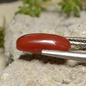 Coral Roja Anaranjada natural de 2.14 ct, Ovalada, Opaco