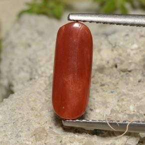 Coral Roja Anaranjada natural de 2.14 ct, Ovalada, Opaco