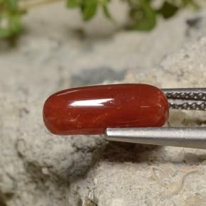 Coral Rojo pintalabios natural de 1.89 ct, Ovalada, Opaco