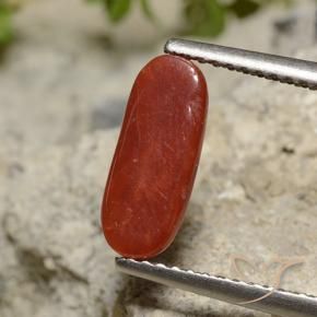 Coral Rojo pintalabios natural de 1.89 ct, Ovalada, Opaco