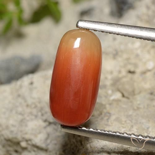 2.12ct Natural Naranja medio Coral, Ovalada, Opaco