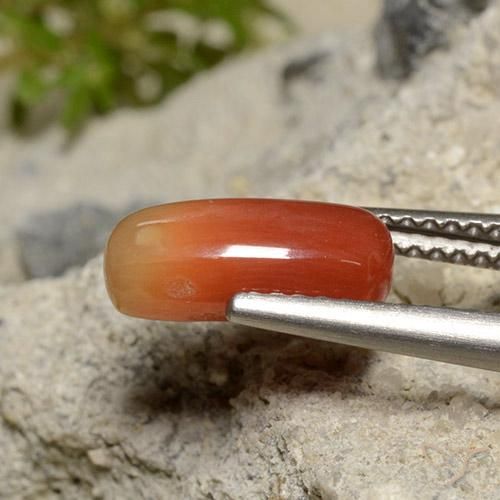 Coral Naranja medio natural de 2.12 ct, Ovalada, Opaco