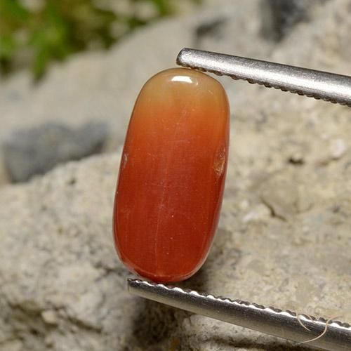 Coral Naranja medio natural de 2.12 ct, Ovalada, Opaco