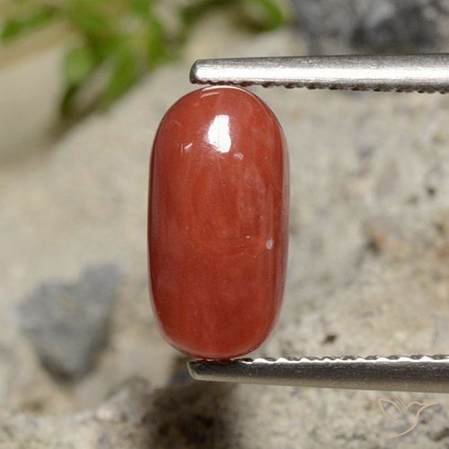 2.04ct Natural Roja Anaranjada Coral, Ovalada, Opaco
