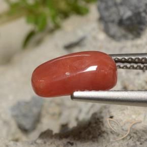 Coral Roja Anaranjada natural de 2.04 ct, Ovalada, Opaco