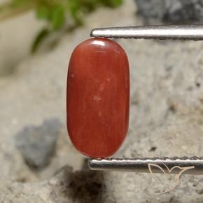Coral Roja Anaranjada natural de 2.04 ct, Ovalada, Opaco