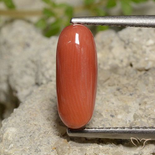 2.00ct Natural Naranja fuego Coral, Ovalada, Opaco