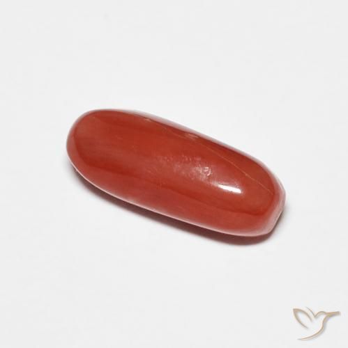 Coral Rojo medio natural de 2.01 ct, Ovalada, Opaco