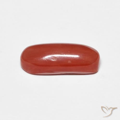 Coral Rojo medio natural de 2.01 ct, Ovalada, Opaco
