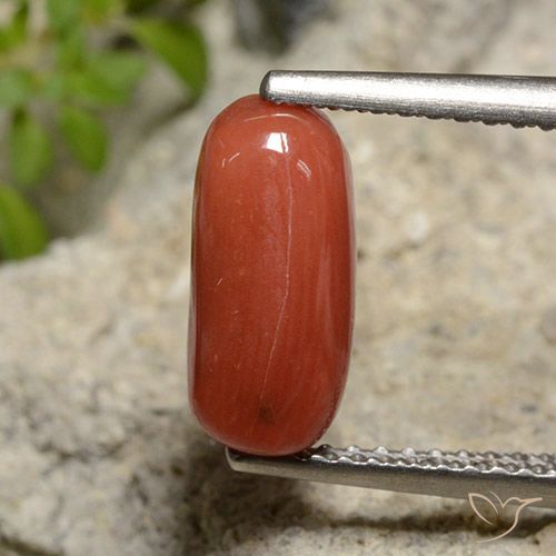 2.14ct Natural Roja Anaranjada Coral, Ovalada, Opaco