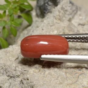Coral Roja Anaranjada natural de 2.14 ct, Ovalada, Opaco